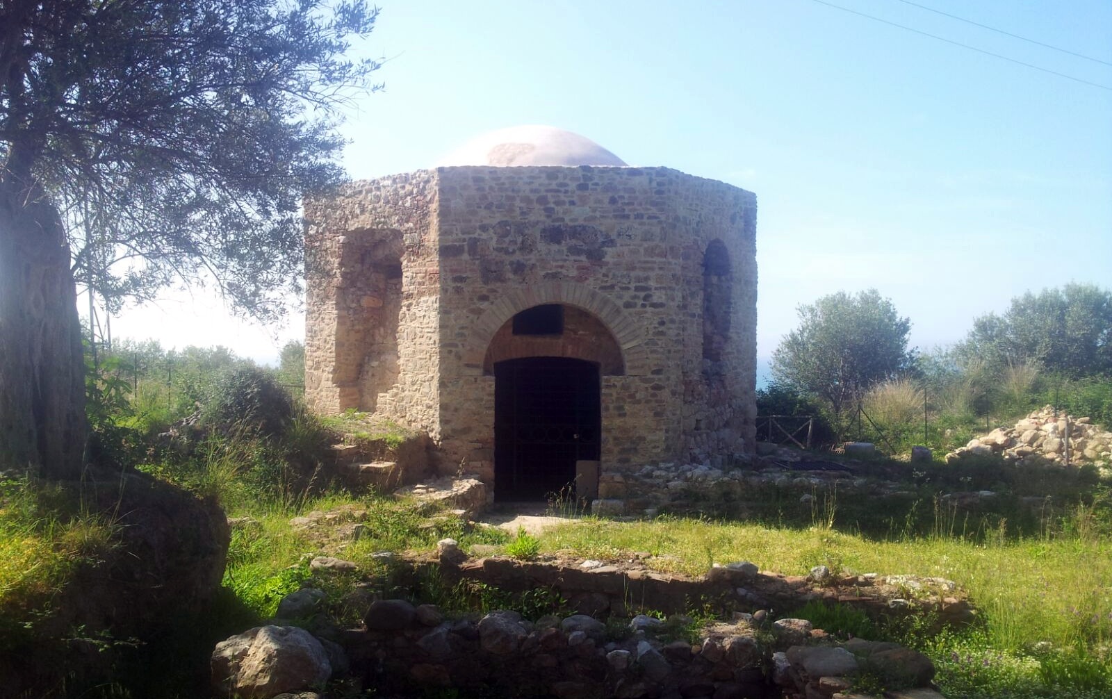 14620_205.jpg
